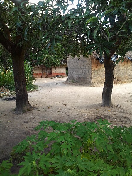File:Face to face here are two houses in kawama sharing a compound.jpg