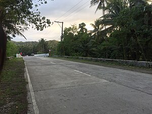 A stretch of road before passing a bridge.