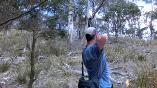 Field archery Competitive archery under field hunting conditions