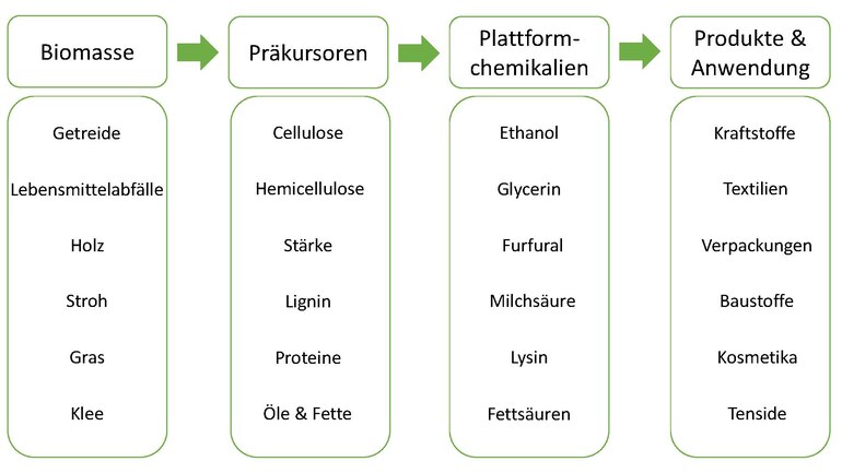 Folyamatábra anyag megújuló nyersanyagok felhasználása.pdf