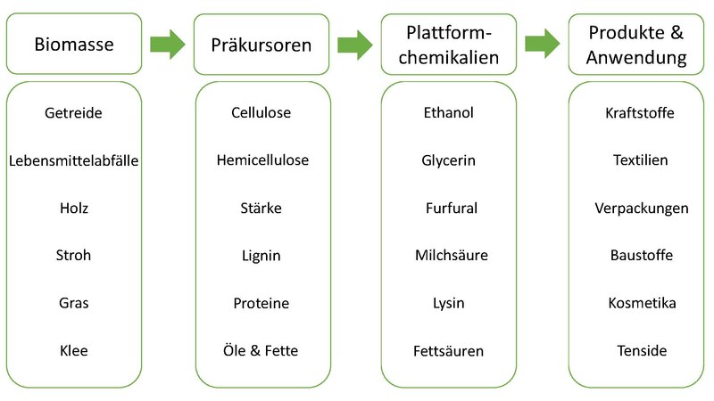 File:Fließdiagramm stoffliche Nutzung nachwachsender Rohstoffe.pdf