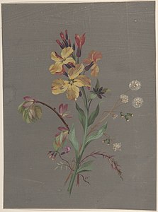 Fleurs, gouache, New York, Metropolitan Museum of Art.