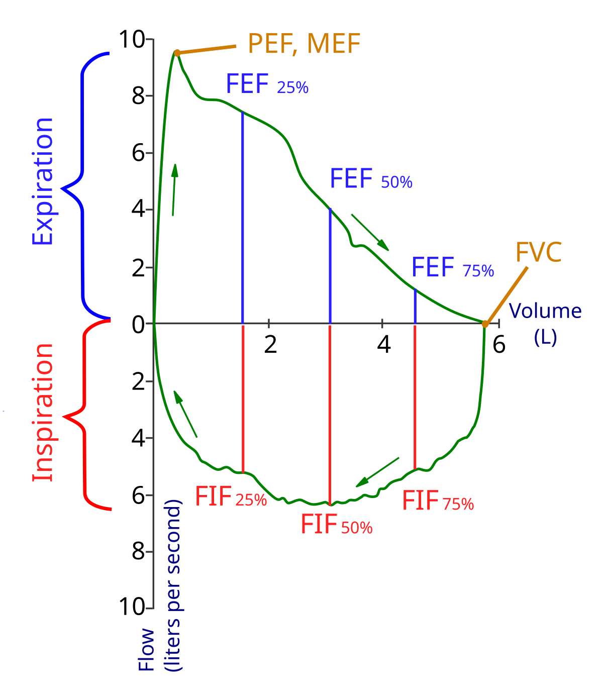 Spirometry Wikipedia