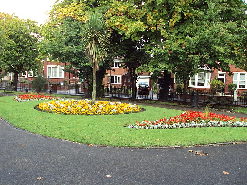 File:Flowerbeds, Ormskirk - DSC09242.JPG