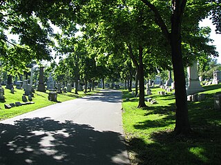 <span class="mw-page-title-main">Forest Lawn Cemetery (Buffalo)</span> Historic cemetery in Buffalo, New York