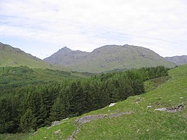 Waldrand in Glen Dessarry - geograph.org.uk - 1423648.jpg