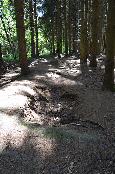 One of the foxholes that still exist in the Jacques Woods, occupied by E Company in December 1944 and January 1945
