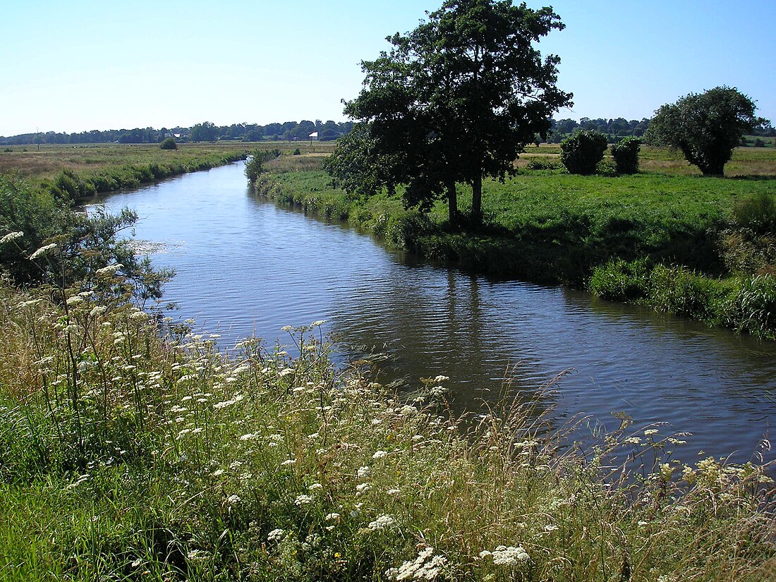 Réserve naturelle régionale des marais de la Taute