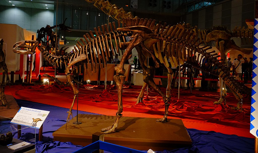 Fukuisaurus skeletal mount