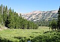 L’image montre la vue au-dessus de la cabane de Cabin Creek dans la région du lac Hebgen de la forêt nationale.