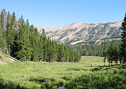 Gallatin National Forest.jpg