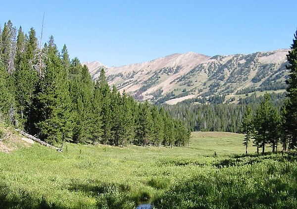 Gallatin National Forest