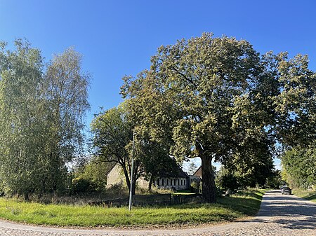 Garzau Garzin Liebenhof Ortsansicht 05