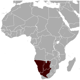 Gemsbok Oryx gazella distribution map.png