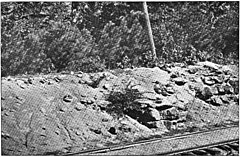 1899 photograph of the type section along the Southern Railway Geology of the Richmond Basin 1899 Plate XXI.jpg