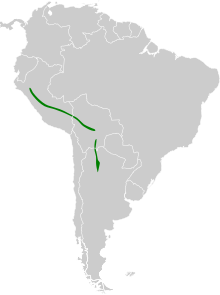 Carte de l'Amérique du Sud avec certaines zones coloriées en vert