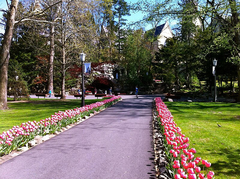 File:Grotto University of Notre Dame Spring.jpg