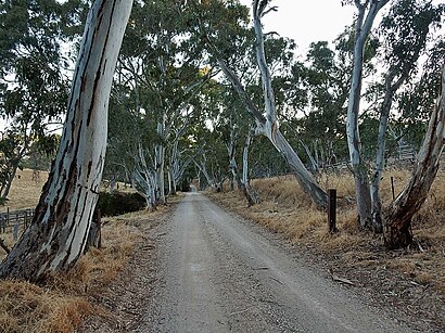 How to get to Dawesley with public transport- About the place