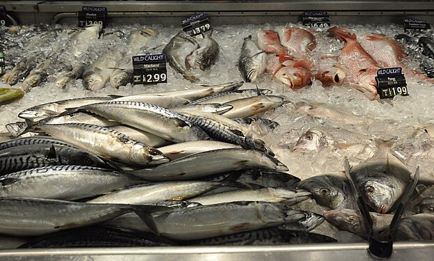 Fish department in H Mart store in Fairfax, Virginia with Mackerel, Bluefish, Porgy, Whiting and many other fish.