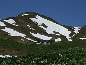 Haldenwanger-head.jpg