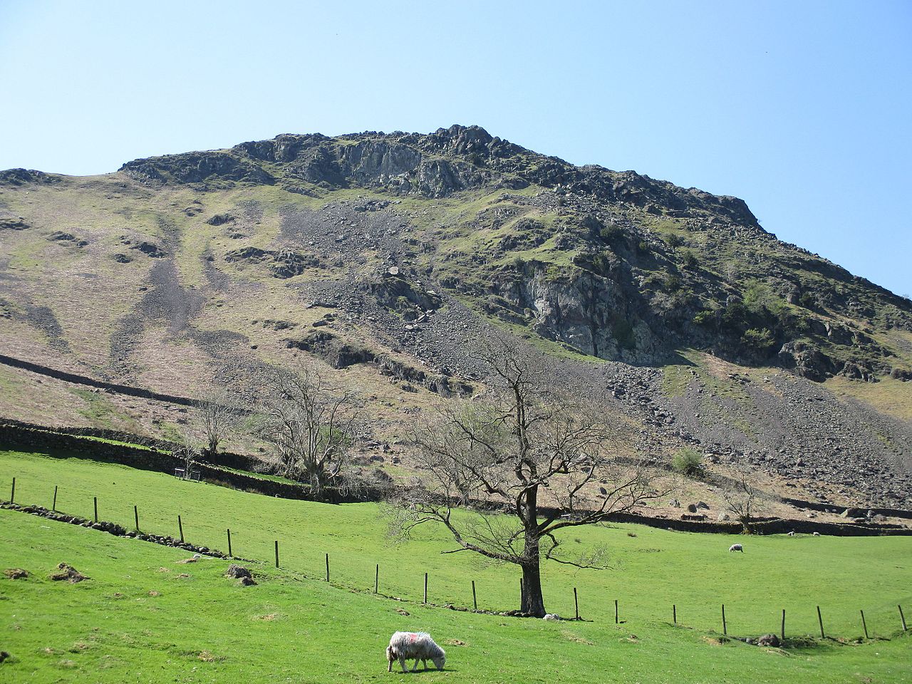 Восточный холм. Центральные холмы Израиль. Loughrigg fell.