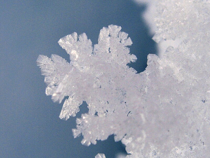 File:Hoar crystals (3217266655).jpg