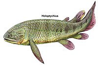 Holoptychius