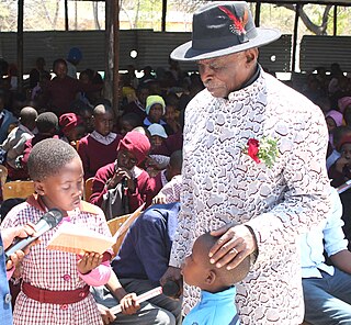 <span class="mw-page-title-main">Nahas Angula</span> Third Prime Minister of Namibia