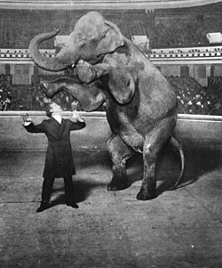 Harry Houdini and Jennie, the Vanishing Elephant, January 7, 1918 Houdini-Elephant.jpg
