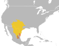 Range of Hypsiglena torquata jani (Texan Night Snake)