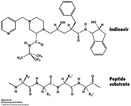 Indinavir, an HIV protease inhibitor.jpg Indinavir, an HIV protease inhibitor.jpg