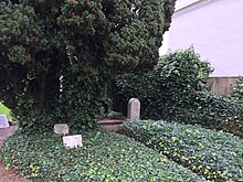 Odense Jewish Cemetery.jpg