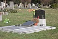 * Nomination: Jewish cemetery in Orlová, Czech Republic --T.Bednarz 20:10, 8 April 2018 (UTC) * * Review needed