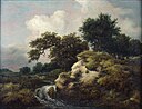 Jacob van Ruisdael - Landscape with Dune and Small Waterfall - Google Art Project.jpg