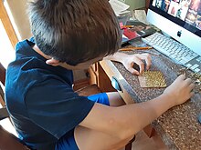 An older autistic boy arranging brads on a cork coaster James arranging brads.jpg