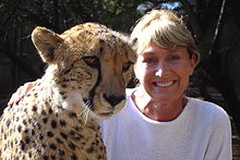Jan Leeming and a 3 yr old cheetah 12s2004.jpg