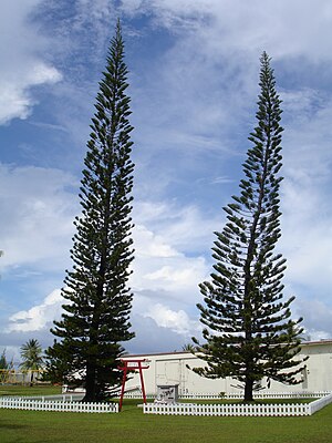 Atolón De Kwajalein