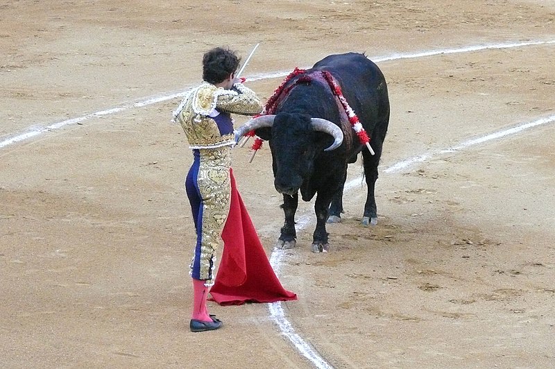 File:José Tomás entrando a matar.jpg