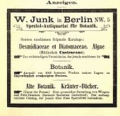 people_wikipedia_image_from Wilhelm Junk