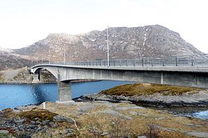 Kåkern Bridge 2013.jpg