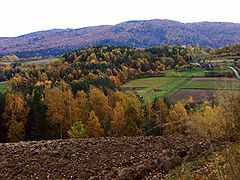 Widok od północy