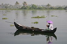 A fisherman in the backwaters of Kerala Kerala backwater 20080218-11.jpg