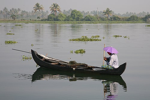 Canoe vs. Rowboat - What's the difference? | Ask Difference