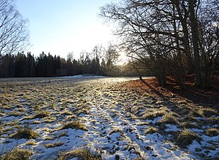 Sankmark på mellersta delen