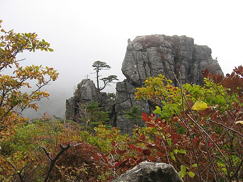 Korea-Mountain-Jirisan-15.jpg