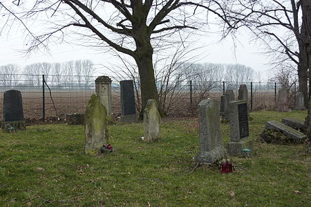 Kuchenheim Jüdischer Friedhof 514