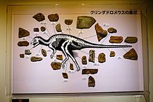 Fossil elements Kulindadromeus elements.jpg