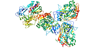 <span class="mw-page-title-main">Lecithin–cholesterol acyltransferase</span> Mammalian protein found in Homo sapiens