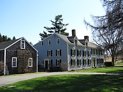 Larch fermasi, Wenham MA.jpg