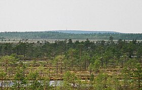 Vista de Lauhanvuori de Kauhaneva